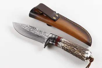 Nemokamas pristatymas Damaskas tiesiai peilis aštrus, lauko kempingas įrankis su elnių ragai rankena peilis Tiesiai peilis